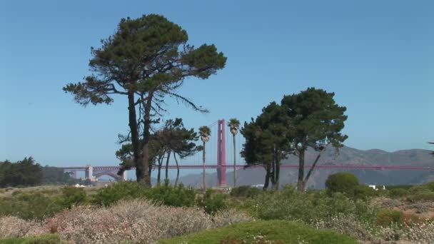 Vista del puente Golden Gate desde el parque — Vídeos de Stock