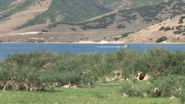 Presa y embalse de Deer Creek — Vídeos de Stock