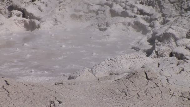 Géiser burbujeando en el Parque Nacional de Yellowstone — Vídeos de Stock