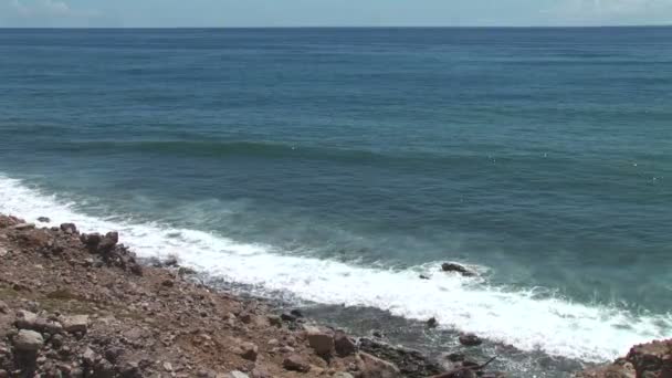 Rocky Shore en la isla — Vídeos de Stock