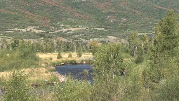 Deer Creek Dam en Reservoir — Stockvideo