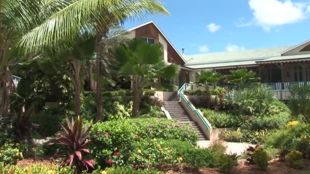Clubhouse Resort na karaibskiej wyspie — Wideo stockowe