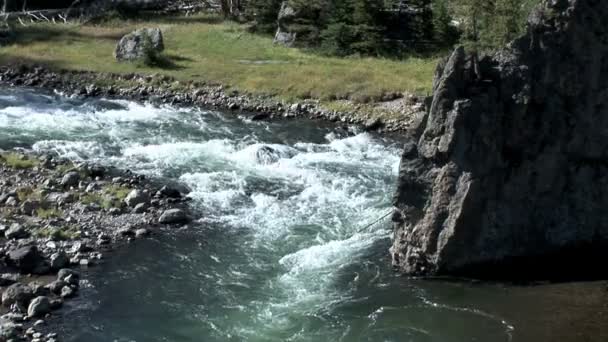 Горный поток в национальном парке Йеллоустоун — стоковое видео