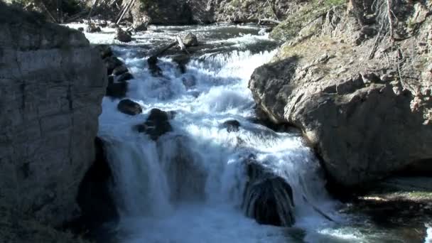 山瀑布在黄石国家公园 — 图库视频影像