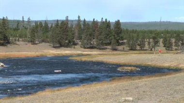 Akış Yellowstone Milli Parkı'nda