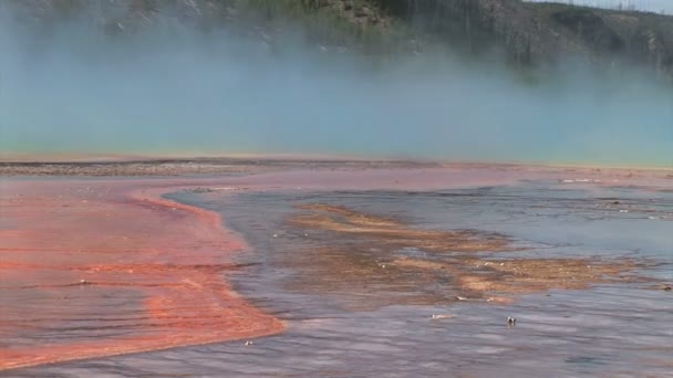 Červené pole minerální — Stock video