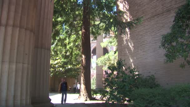 Passage in Palace of Fine Arts — Stockvideo