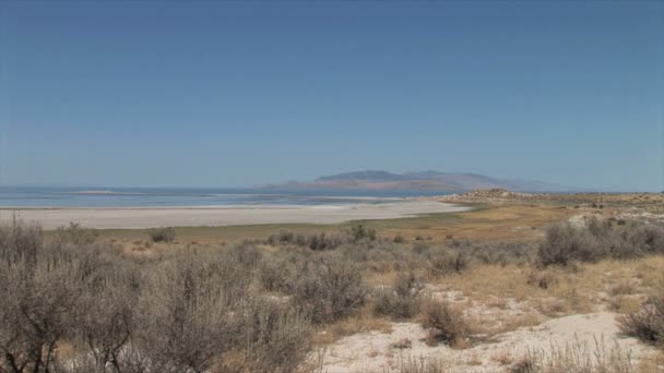 Antelope Island Landscape — Stock video