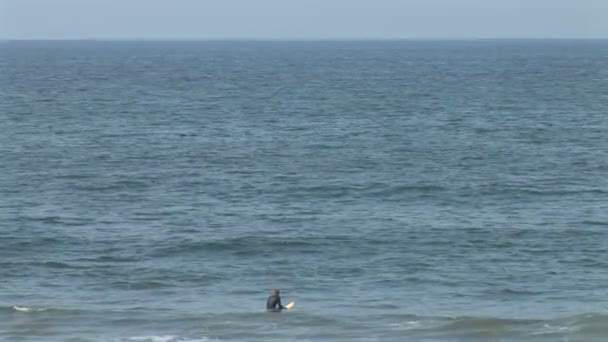 Surfeur nageant dans l'océan — Video