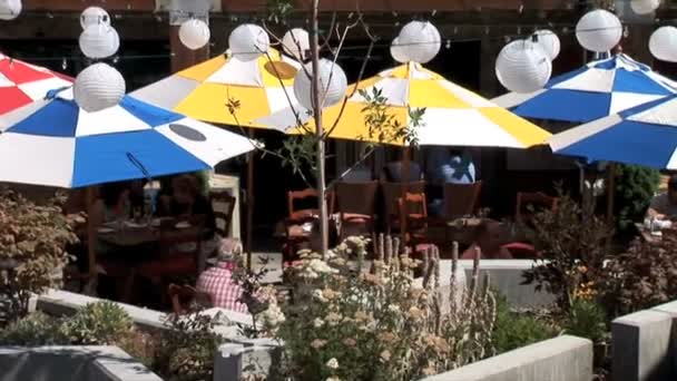 Кафе в Парке города — стоковое видео