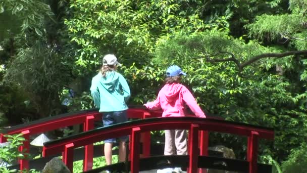 Puente en jardín japonés — Vídeos de Stock