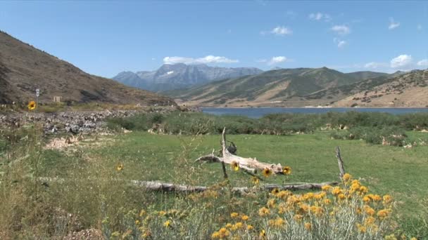 Олень крик гребля і водосховище — стокове відео