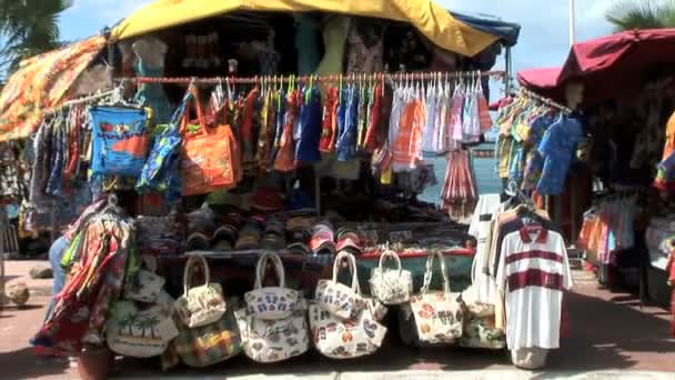 Marigot openmarkt — Stockvideo