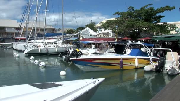 Porto La Royale na cidade de Marigot — Vídeo de Stock