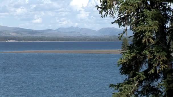 Insel im Yellowstone Lake — Stockvideo