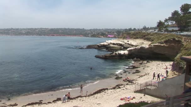 La jolla strand in san diego — Stockvideo