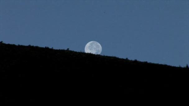 Full Moon in night sky — Stock Video