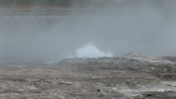 Geysir brodelt im Yellowstone-Nationalpark — Stockvideo