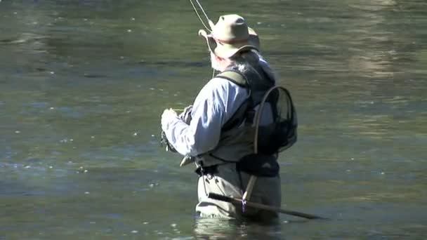 Fisherman catches fish — Stock Video