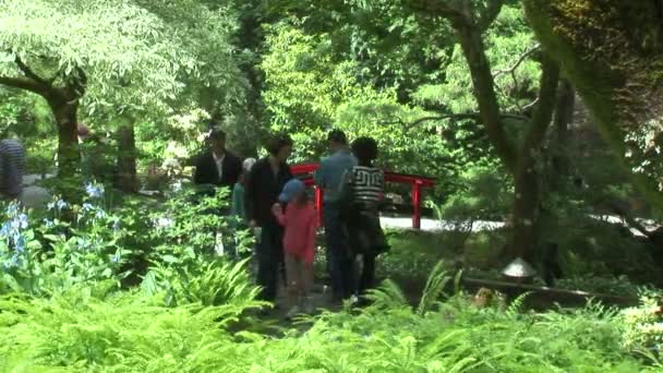 Japanse tuin in Canada — Stockvideo