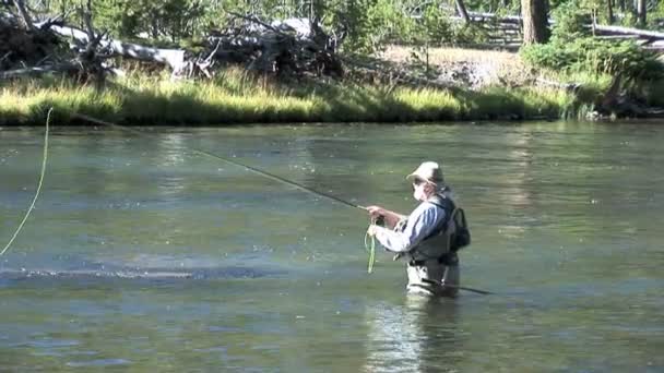 Рыбак ловит рыбу. — стоковое видео