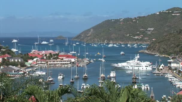 Gustavia Harbor on Caribbean — Stock video