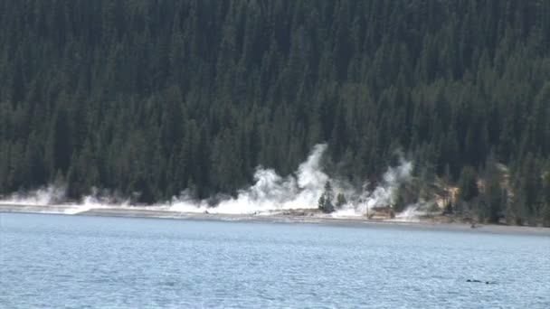 Riva con geyser a yellowstone lago — Video Stock