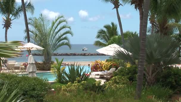 Resort Piscina en isla caribeña — Vídeos de Stock