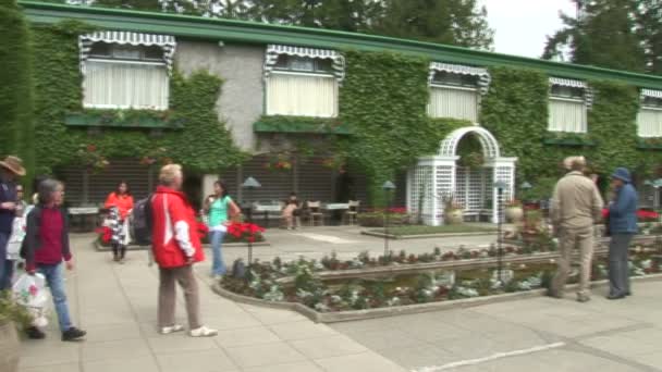 Butchart Gardens, Kanada — Stock videók