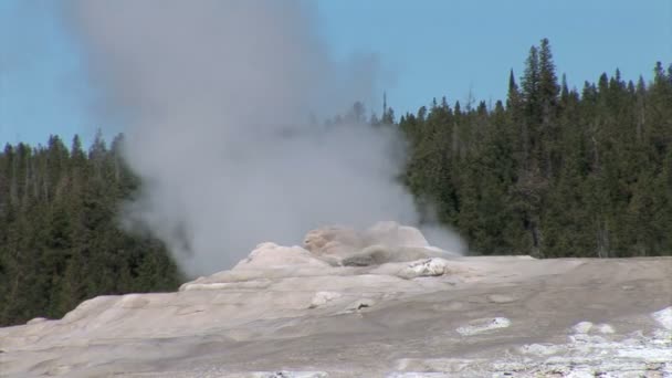 Gejzer wybucha w Parku Narodowym Yellowstone — Wideo stockowe