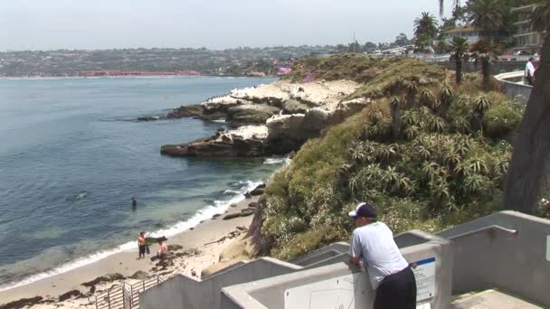 La Jolla beach in San Diego — Stockvideo