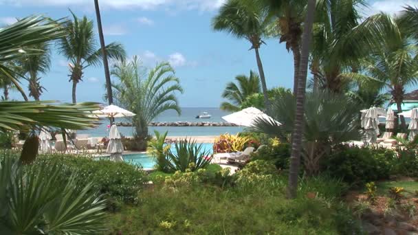 Resort Piscina en isla caribeña — Vídeos de Stock