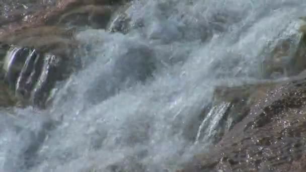 Mountain Stream nel Parco Nazionale di Yellowstone — Video Stock