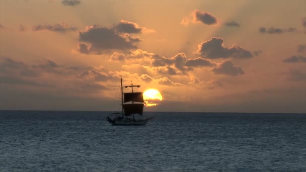 Sailboat in ocean at sunset — Stock video