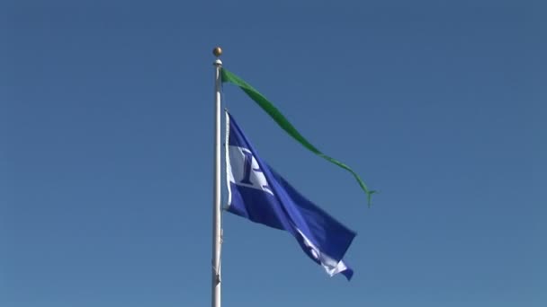 Pier 39 vlag zwaaien in de lucht — Stockvideo