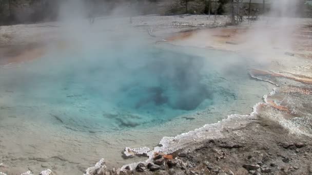 Gejzer pola w Parku Narodowym Yellowstone — Wideo stockowe