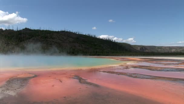 Красочный минеральный бассейн — стоковое видео