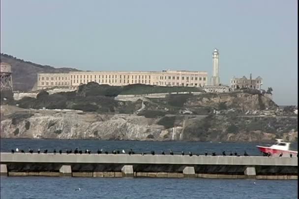 Alcatraz island with prison in San Francisco — Stockvideo