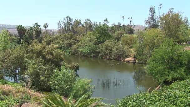 Rio em San Diego Park — Vídeo de Stock