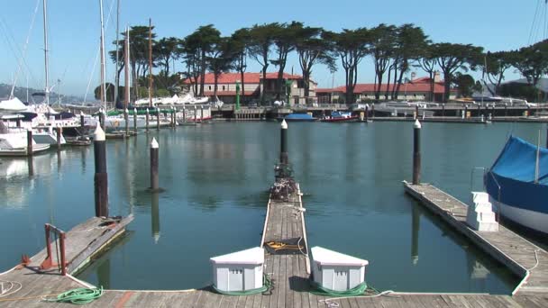 Marina with boats in San Francisco — Stockvideo