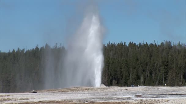 Gejzer wybucha w Parku Narodowym Yellowstone — Wideo stockowe