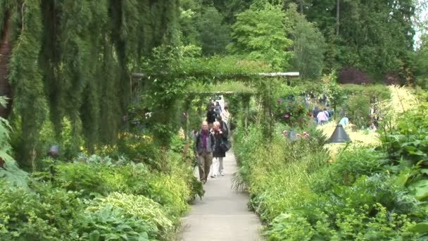在维多利亚市的花园路径 — 图库视频影像