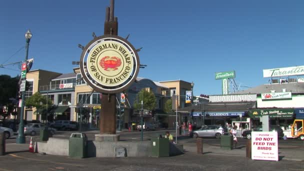 Ψαράς της wharf στο San Francisco — Αρχείο Βίντεο