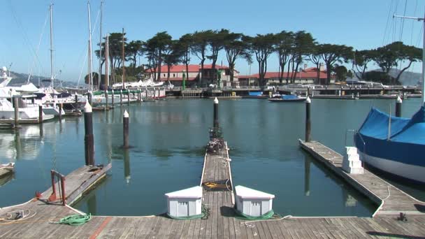 Марина с лодками в Сан-Франциско — стоковое видео