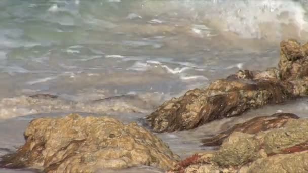 Κύματα που σπάνε σε βράχους — Αρχείο Βίντεο