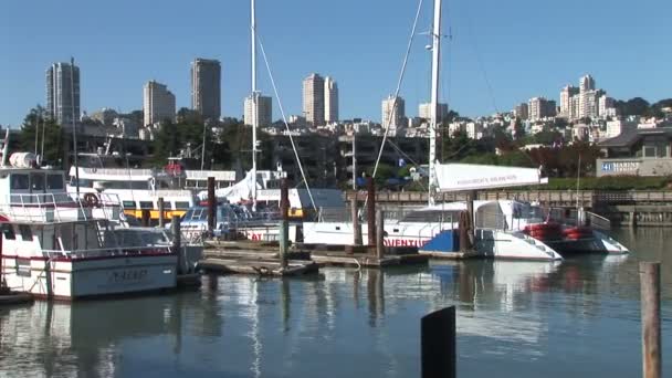 San Francisco skyline view from marina — Αρχείο Βίντεο
