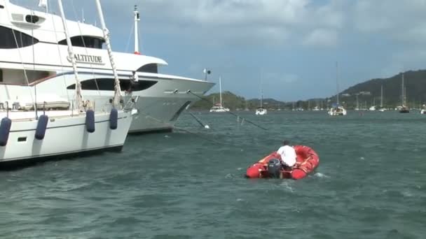 Puerto deportivo en Lagoon en la isla de St. Martin — Vídeo de stock