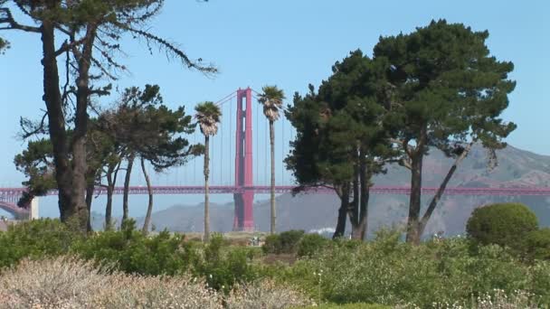 Golden Gate Bridge widok z parku — Wideo stockowe