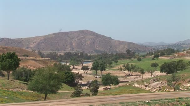 San Diego Zoo Safari Park — Stock Video