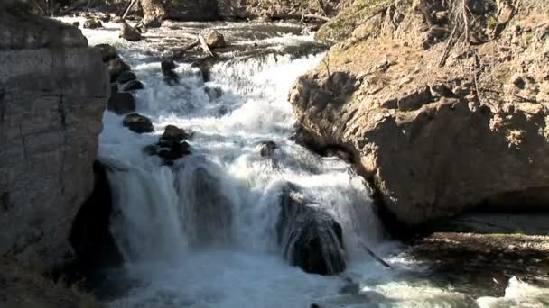 Dağ şelale Yellowstone Milli Parkı'nda — Stok video